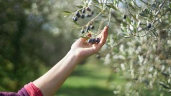Una empresa no paga a sus trabajadoras porque el convenio dice "trabajadores"