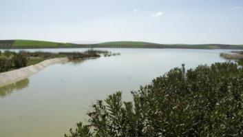 Otra burbuja económica: el dragado del Guadalquivir