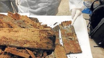 Pongamos que los restos sí son de Cervantes, ¿y ahora qué?