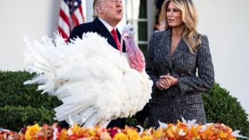 Trump planea indultar a tres de sus hijos y a su yerno