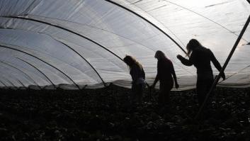 La Fiscalía investiga la posible explotación laboral y sexual de temporeras inmigrantes en Huelva