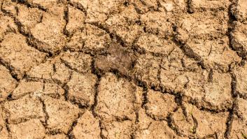 ¿Puede la biología sintética salvar nuestro planeta?