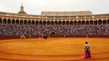 Las protectoras de animales sienten "terror" ante la creación de un "palco infantil" para los festejos taurinos
