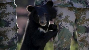 Las fotos que deja este jueves no tienen pérdida