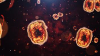 España notifica la primera muerte de mpox desde 2022 en un hombre inmunodeprimido sin vacunar