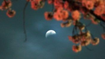 Las impresionantes imágenes de la 'luna de sangre' (FOTOS)