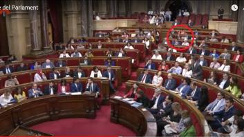 'Cazan' a un diputado de Vox en el Parlament: se aprecia bien qué estaba haciendo en el ordenador