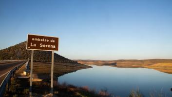 Preocupación por una plaga de langostas en varios pueblos de Badajoz