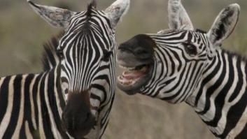 Las mejores fotos del martes