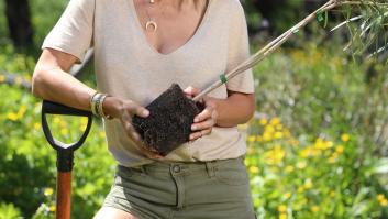 Elsa Pataky deja sin habla a sus seguidores con esta foto de su árbol de Navidad: todos miran lo mismo