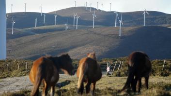 El precio de la electricidad caerá más de un 20% al aumentar la producción de las renovables