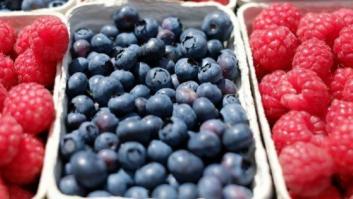 Cinco hábitos para vivir 2017 de una forma más sostenible