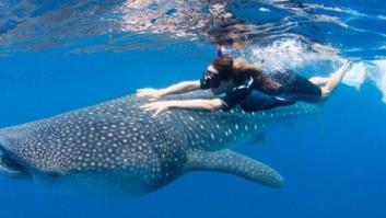 Una española cuenta lo que NO hay que hacer si viajas a Komodo: el motivo tiene mucho peso