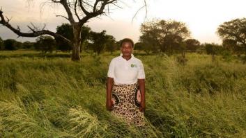 Tras la pista de la malaria en Mozambique