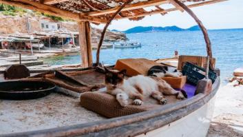 El (muy) viejo y el mar