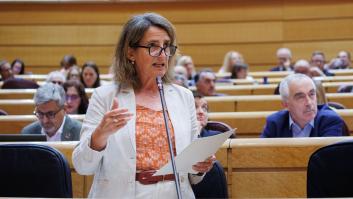 Ribera responde como nunca y deja sentado a un senador del PP con tan solo dos palabras