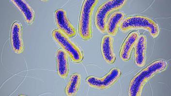 Sanidad descarta el caso de cólera de Toledo y aclara que se trata de una gastroenteritis