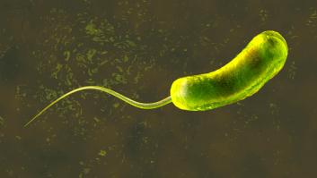 Qué es el cólera y cuáles son sus síntomas y tratamiento