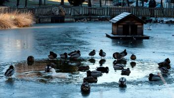 Toda España, en alerta por frío