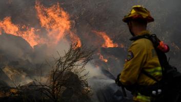 Una empresa española, entre las premiadas por 'The New York Times' por lo mejor de 2020