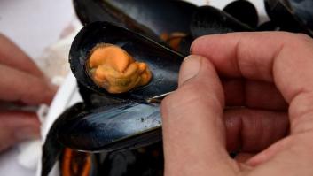 39 intoxicados por consumir un lote de mejillones gallegos en un hotel valenciano