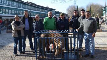 El 'guarrillo 2017' de Almagro se llama "Tiri ti Trump"