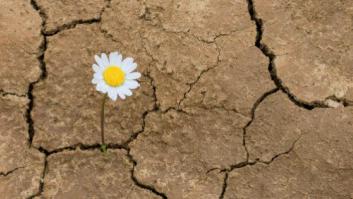 Resiliencia en tiempos de crisis