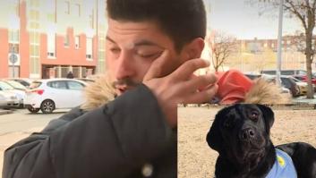 Denuncia por las teles el robo de una perra de asistencia a la que había entrenado y termina detenido por la Policía