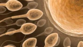 En este banco de esperma solo se acepta 'semen comunista'