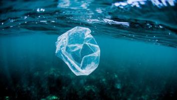 Cobrar por las bolsas en los comercios ha reducido la contaminación del mar
