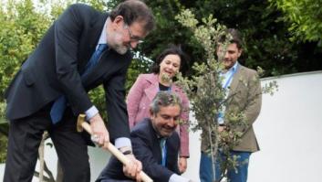 De jueces, másteres y reinas