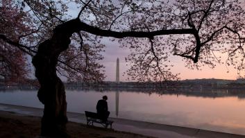 Las FOTAZAS del estallido de la primavera