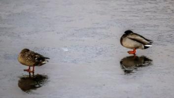 Consulta aquí si tu provincia está en alerta por la ola de frío