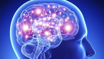 Dale vida a tu cerebro