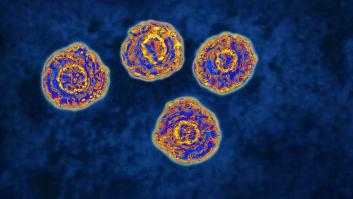 Desconcierto con un brote de Hepatitis A a las puertas de España