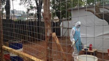 Historia de dos crisis (humanitarias)