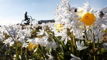 Y de repente, llegó la segunda primavera