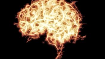El cerebro está más caliente de lo que se pensaba