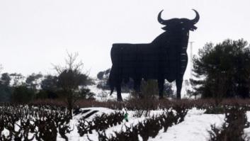 El Supremo rechaza anular la marca "Toro" de Osborne porque no es símbolo oficial de España