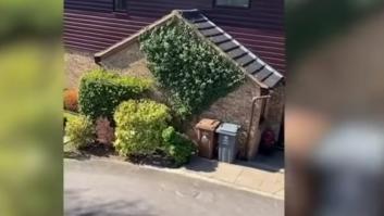 ¿Notas algo raro? Aquí hay un vecino saltándose supuestamente la cuarentena