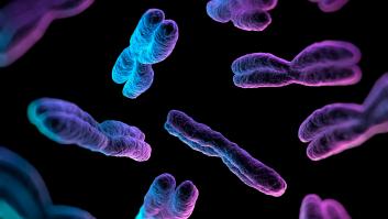 Por qué los hombres viven menos que las mujeres: se descubre el defecto genético que lo explica