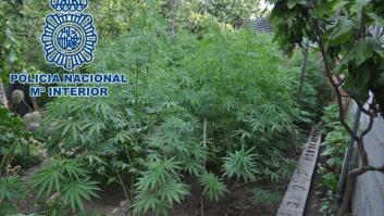 Acuden a apagar un incendio en un huerto y acaban encontrando... una plantación de marihuana