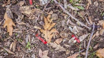 'Juernes', 'penasco', amigovio... y ahora 'basuraleza'