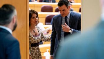 Manual de resistencia, tercera edición: Sánchez va a por todas