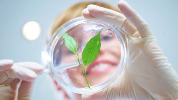 La Agencia Estatal de Investigación, una herramienta esencial