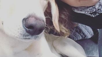 Adopté un perro durante el confinamiento y me ha cambiado la vida