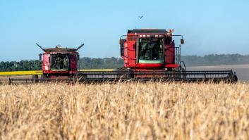 Ucrania anuncia que comenzará a exportar cereal por mar esta semana