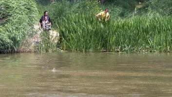 Buscan a un cocodrilo del Nilo avistado en un pueblo de Valladolid