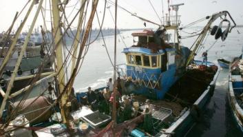 La justicia europea declara que el acuerdo pesquero con Marruecos no se aplica al Sáhara Occidental