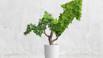 Consumo y producción responsables: ¿una moda o llegaron para quedarse?